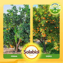 Carica l'immagine nel visualizzatore di Gallery, Solabiol Concime Liquido Biologico per Agrumi e Piante Mediterranee con Tecnologia Natural Booster che Stimola lo Svilup