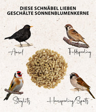 Carica l'immagine nel visualizzatore di Gallery, Dehner Natura Premium mangime per Uccelli, Semi di Girasole Non decorticati, Mangime integrativo per Alimentazione Tutto