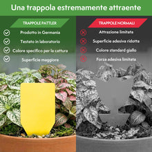Carica l'immagine nel visualizzatore di Gallery, Pattler Trappola Moscerini per Piante da Interno – 60 Pezzi. Trappole Cromotropiche Gialle Adesive a Doppio Lato, Anti M