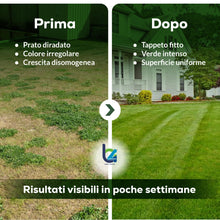 Carica l'immagine nel visualizzatore di Gallery, B4Green Semi Prato Inglese Professionale (40m²) per Giardino di Pregio