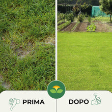 Carica l'immagine nel visualizzatore di Gallery, Albagarden - Semi Prato Universale Resistente - 40m² - Per Zone Ombreggiate e Soleggiate - Sementi Erba per Tappeti Erbo