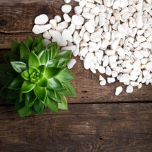 Carica l'immagine nel visualizzatore di Gallery, Ghiaia per giardino e decorazione interna ed esterna (bianco, 850g)