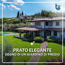 Carica l'immagine nel visualizzatore di Gallery, B4Green Semi Prato Inglese Professionale (40m²) per Giardino di Pregio