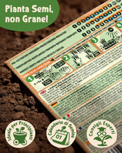 Carica l'immagine nel visualizzatore di Gallery, ZenGreens® Set di Semi di Erbe Aromatiche bio - 12 varietà antiche