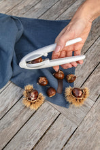 Carica l'immagine nel visualizzatore di Gallery, Tescoma 420208 Pinza taglia castagne: per incidere la buccia delle castagne