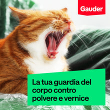 Carica l'immagine nel visualizzatore di Gallery, GAUDER Telo copritutto pittura in plastica (6 teli, 4x5m, 120 m²)