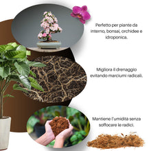 Carica l'immagine nel visualizzatore di Gallery, GebEarth® | Fibra di Cocco per Piante 100% Naturale【1L】 | Lavata e Tamponata | Fibra di cocco Universale per Piante in V