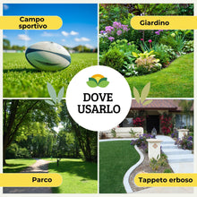 Carica l'immagine nel visualizzatore di Gallery, Albagarden - Semi Prato Resistente Al Calpestio - 40m² - Sementi Erba per Tappeti Erbosi per Aree Gioco - Super Calpesta