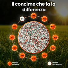 Carica l'immagine nel visualizzatore di Gallery, R&amp;R SHOP - Concime Professionale Starter CE per Prato, NPK 15-25-6, Effetto Immediato, Radicazione Rapida e Crescita Uni