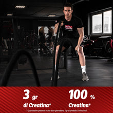 Carica l'immagine nel visualizzatore di Gallery, WHY SPORT CREATINA PURE - Creatina Monoidrato - Pre Workout - Integratore Alimentare a Base di Creatina Monoidrato Creap