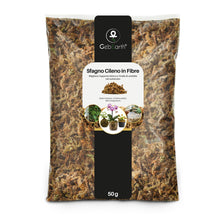 Carica l'immagine nel visualizzatore di Gallery, GebEarth®| Sfagno Cileno in Fibre: Substrato per Orchidee, Bonsai e Carnivore | Perfetto per Kokedama, Verde Verticale, 