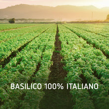 Carica l'immagine nel visualizzatore di Gallery, Barilla Pesto Basilico e “Mozzarella di Bufala Campana DOP”, 190 g