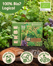 Carica l'immagine nel visualizzatore di Gallery, ZenGreens® Set di Semi di Erbe Aromatiche bio - 12 varietà antiche