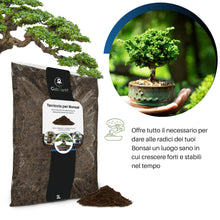 Carica l'immagine nel visualizzatore di Gallery, GebEarth® - Terriccio Specifico per Bonsai | Substrato Professionale per Radici più Forti e Aerazione Ottimale 【3L】