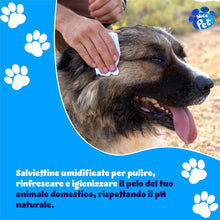Carica l'immagine nel visualizzatore di Gallery, Nice Pet Salviette IGIENIZZANTI Cani, Gatti con CLOREXIDINA - 100 Salviette - Proteggono Il PH Naturale - Profum al Muschio - Salvette Ideali per l'igiene Manto di Cani e Gatti | Salviette Cane