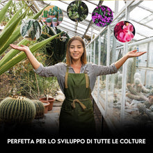 Carica l'immagine nel visualizzatore di Gallery, ZOMA - Perlite per Piante in Vaso Leggera e Porosa, Perlite Giardinaggio Ideale per Terricci, per Piante, Ortaggi e Spez