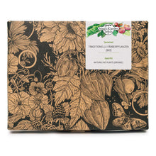 Carica l'immagine nel visualizzatore di Gallery, Magic Garden Seeds Set regalo di semi bio Piante tintorie, 4 varietà