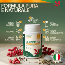 Carica l'immagine nel visualizzatore di Gallery, Berberina con Cromo Picolinato, Silimarina, Cardo Mariano, Coenzima Q10