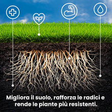 Carica l'immagine nel visualizzatore di Gallery, LERAVA STARTER concime prato autunno (15 m²) - ad alto contenuto di fosforo - favorisce crescita forte e resistenza del 
