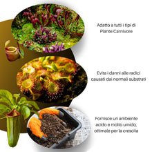 Carica l'immagine nel visualizzatore di Gallery, GebEarth® | Terriccio Piante Carnivore | pH Acido 3,9 | Miscela Professionale con Torba Bionda Acida di Sfagno e Perlite