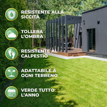 Carica l'immagine nel visualizzatore di Gallery, R&amp;R SHOP - Semi per Prato, Festuca Arundinacea, Resistente e Duratura (500gr - 20Mq)