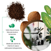 Carica l'immagine nel visualizzatore di Gallery, GebEarth® | Fibra di Cocco per Piante 100% Naturale【1L】 | Lavata e Tamponata | Fibra di cocco Universale per Piante in V