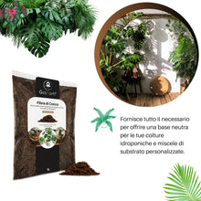 Carica l'immagine nel visualizzatore di Gallery, GebEarth® | Fibra di Cocco per Piante 100% Naturale【1L】 | Lavata e Tamponata | Fibra di cocco Universale per Piante in V