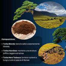 Carica l'immagine nel visualizzatore di Gallery, GebEarth® - Terriccio Specifico per Bonsai | Substrato Professionale per Radici più Forti e Aerazione Ottimale 【3L】