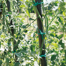 Carica l'immagine nel visualizzatore di Gallery, TENAX Tubetto Agricolo Verde 1000g Diametro 5mm, Legatura in PVC per Piante, ortaggi e Fiori, Lunghezza Circa 78 m