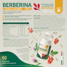 Carica l'immagine nel visualizzatore di Gallery, Berberina con Cromo Picolinato, Silimarina, Cardo Mariano, Coenzima Q10