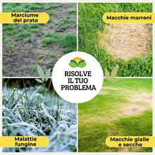 Carica l'immagine nel visualizzatore di Gallery, Albagarden - Semi Prato Universale Resistente - 40m² - Per Zone Ombreggiate e Soleggiate - Sementi Erba per Tappeti Erbo