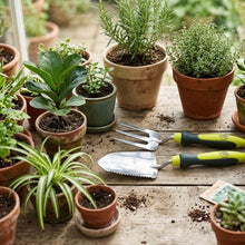 Carica l'immagine nel visualizzatore di Gallery, Spear &amp; Jackson Kew Gardens Urban Oasis Set Attrezzi Giardinaggio Balcone 4 Pezzi, Forbici, Cesoie Topiarie, Paletta e F