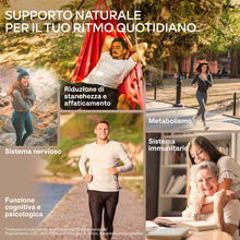 Carica l'immagine nel visualizzatore di Gallery, Ashwagandha KSM-66 10000mg Alto Dosaggio (Estratto di Ashwagandha Bio 10:1) Vitamina B6 B1 Zinco Magnesio Manganese, Veg