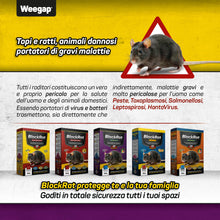 Carica l'immagine nel visualizzatore di Gallery, Veleno per Topi e Ratti in Mini Blocchi con Aroma alla Frutta e Cereali, Esca Topicida Ratticida Professionale Potente U