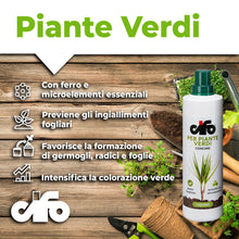 Carica l'immagine nel visualizzatore di Gallery, CIFO - Concime Piante Verdi Liquido, Fertilizzante Casa, Terrazzo e Balcone - Contribuisce alla Crescita e Intensifica l