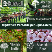 Carica l'immagine nel visualizzatore di Gallery, Mastice, Pasta Cicatrizzante per Bonsai, 100 Gr