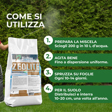 Carica l'immagine nel visualizzatore di Gallery, Zeolite per agricoltura x 1 KG - Polvere di roccia, Potenziatore delle difese naturali Effetto Insetticida e Fungicida -