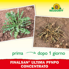 Carica l'immagine nel visualizzatore di Gallery, Neudorff Finalsan Ultima RTU PFnPO – Diserbante totale contro erbacce, erbe, alghe e muschi. Visibilmente efficace in un