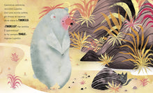 Carica l'immagine nel visualizzatore di Gallery, Una timidezza da orso. Ediz. a colori