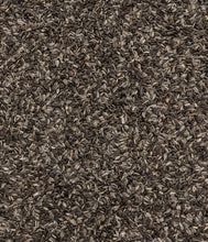 Carica l'immagine nel visualizzatore di Gallery, Dehner Natura Premium mangime per Uccelli Selvatici, Semi di Girasole Non decorticati Mangime integrativo per Tutto L'An