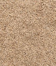 Carica l'immagine nel visualizzatore di Gallery, Dehner Natura Premium mangime per Uccelli, Semi di Girasole Non decorticati, Mangime integrativo per Alimentazione Tutto