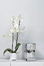 Carica l'immagine nel visualizzatore di Gallery, Gaggia Viva Prestige Macchina da Caffè Espresso Manuale, per Macinato e...