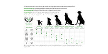 Carica l'immagine nel visualizzatore di Gallery, ARTISAN GIFT CO Corno di Cervo Ecologico da Masticare per Cani 100% 1 Unità - Ilgrandebazar