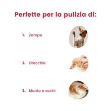 Carica l'immagine nel visualizzatore di Gallery, 12