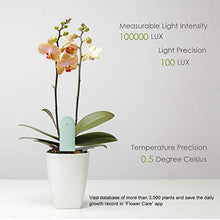 Carica l'immagine nel visualizzatore di Gallery, Wanfei per Xiaomi Flower Care Soil Tester, Intelligent Plant Monitor 1 PCS