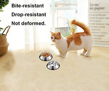 Carica l'immagine nel visualizzatore di Gallery, Jiuhao - Ciotole per gatti, 2 pezzi, uso alimentare, in acciaio inox,...
