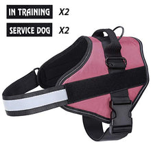 Carica l'immagine nel visualizzatore di Gallery, Imbracatura per Cani Traspirante Senza M: collo 16,5 "-21" (42-53 cm), Rosa