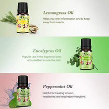 Carica l'immagine nel visualizzatore di Gallery, Oli Essenziali per Diffusori Top 6 Set - Aromaterapia Olio Essenziale Clear