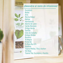 Carica l'immagine nel visualizzatore di Gallery, HELPS INFUSI - Infuso di eucalipto nelle foglie. Balsamico, espettorante e...