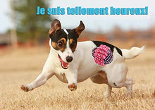 Carica l'immagine nel visualizzatore di Gallery, FONPOO Giochi Cane,Corda Cane Resistenti per Cani Grandi Cane... - Ilgrandebazar